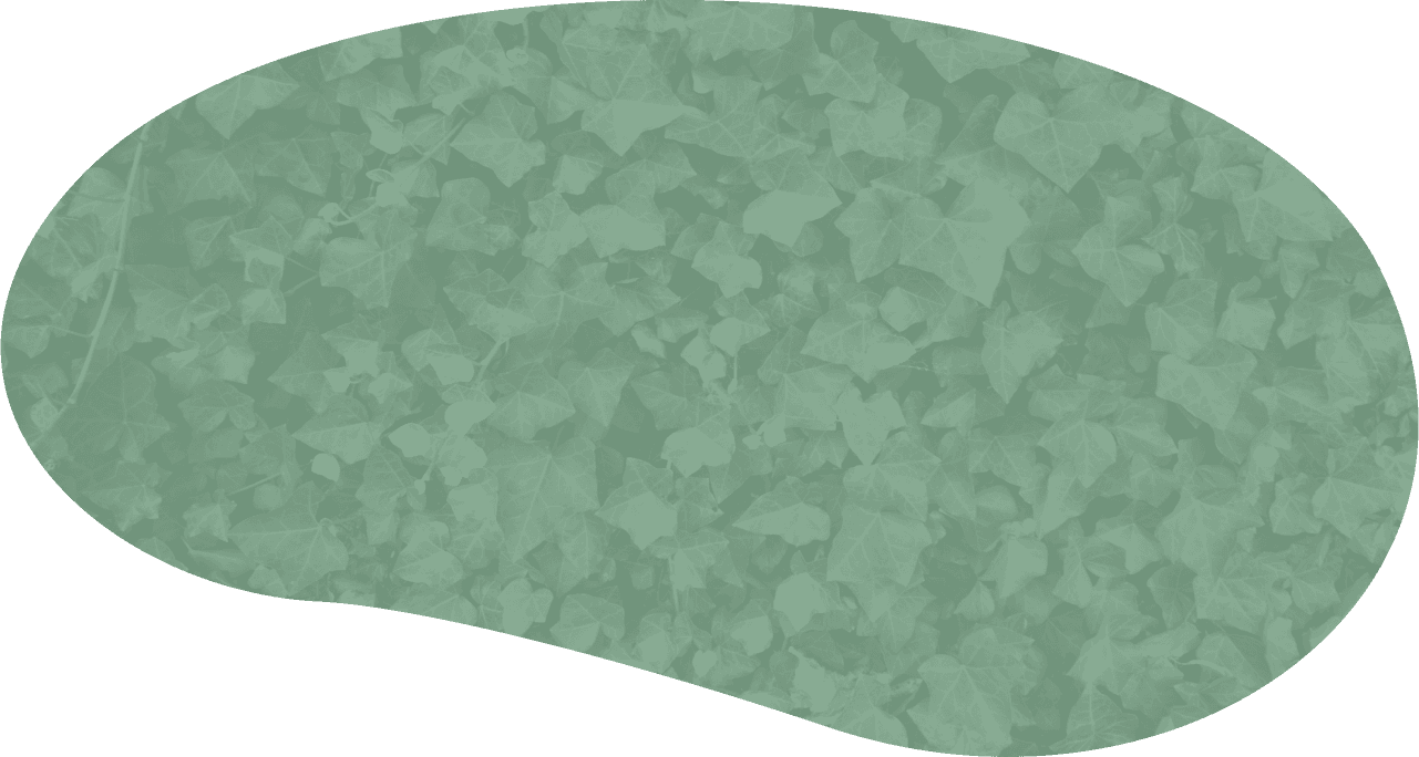 Green Background